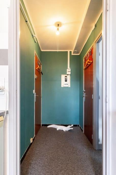 Double Appartement, Saint Michel, Parking, Wifi Toulouse Buitenkant foto